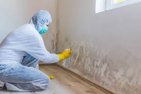 Best HVAC Mold Inspection and Cleaning in USA